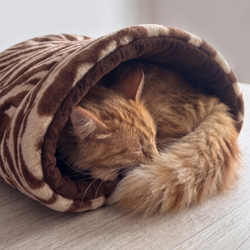 Pack Familia — 3 Niditos Piki para gatos